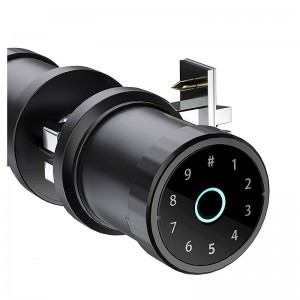 Automatic Tuya fingerprint lock phone remote password lock household