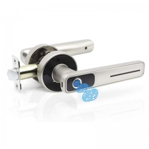 Tuya Automatic Biometric Thumbprint Fingerprint Smart Home Door Lock