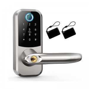 Fingerprint lock Tuya WIFI remote password lock electronic smart lock