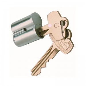 Customized euro profile mortise door cylinder
